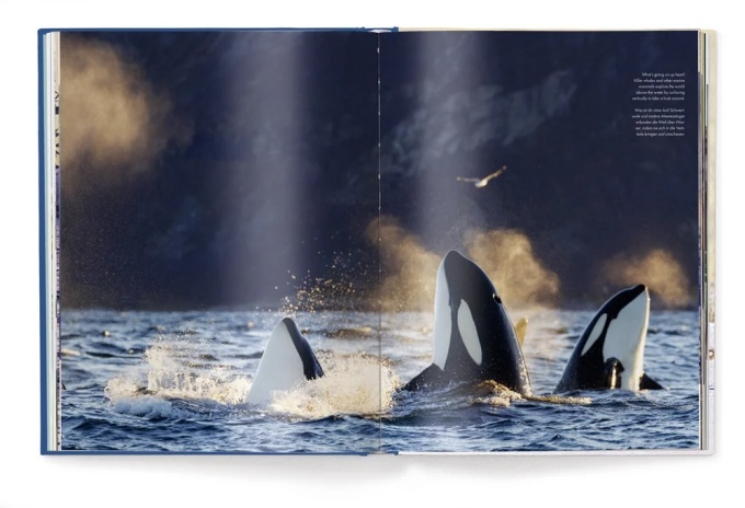 Fearless Females by Mario Ludwig