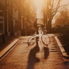 Gosse Bouma: A New Light on Amsterdam