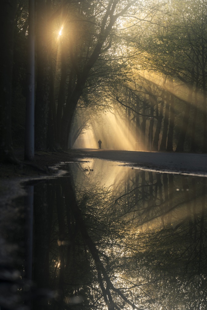 Gosse Bouma: A New Light on Amsterdam
