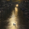 Gosse Bouma: A New Light on Amsterdam