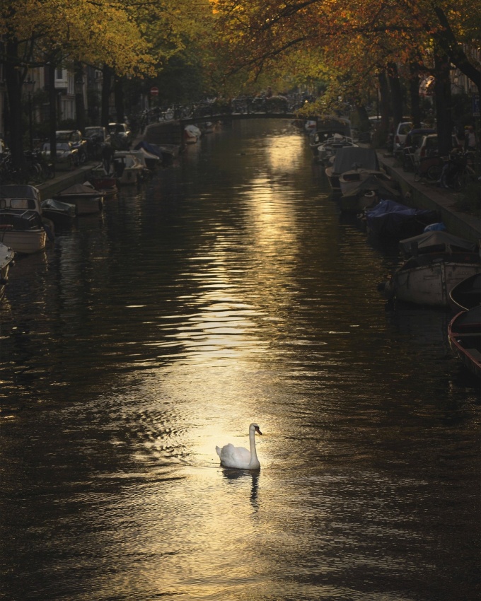 Gosse Bouma: A New Light on Amsterdam