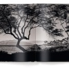 Hawaii by Olaf Heine
