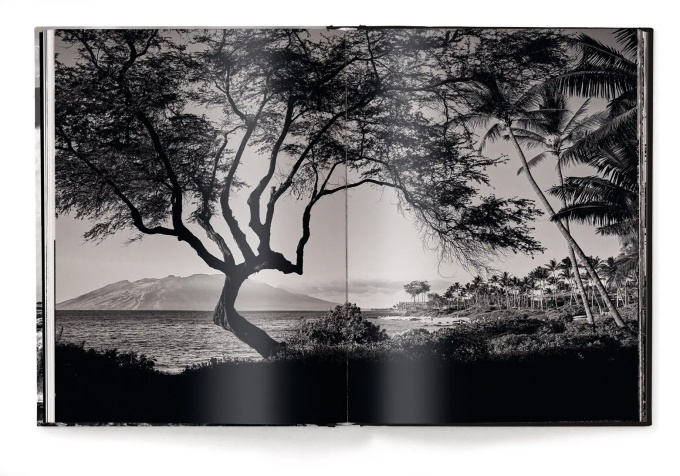 Hawaii by Olaf Heine