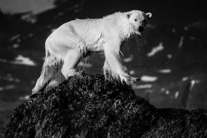Ice is Black by Laurent Baheux