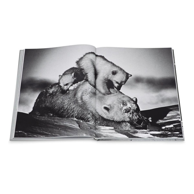Ice is Black by Laurent Baheux