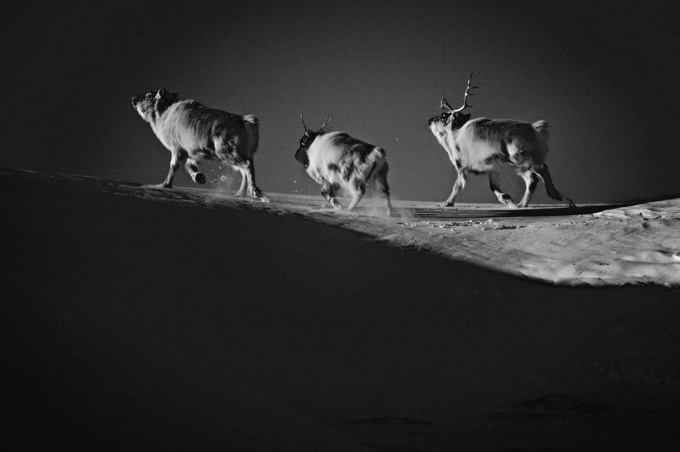 Ice is Black by Laurent Baheux