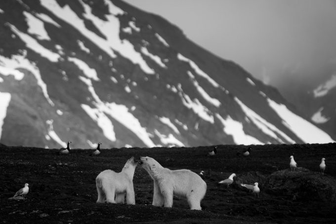 Ice is Black by Laurent Baheux