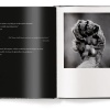 Lions by Laurent Baheux