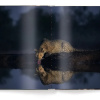 Mother: A Tribute to Mother Earth - Marsel van Oosten