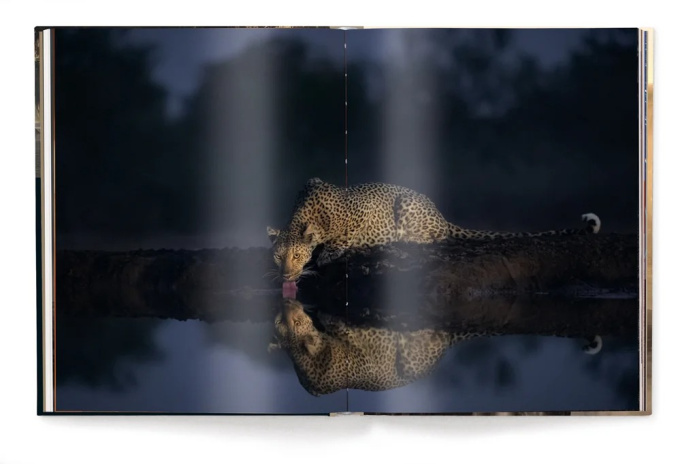 Mother: A Tribute to Mother Earth - Marsel van Oosten