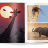 Mother: A Tribute to Mother Earth - Marsel van Oosten