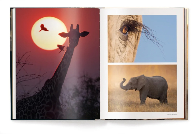 Mother: A Tribute to Mother Earth - Marsel van Oosten