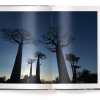 Mother: A Tribute to Mother Earth - Marsel van Oosten