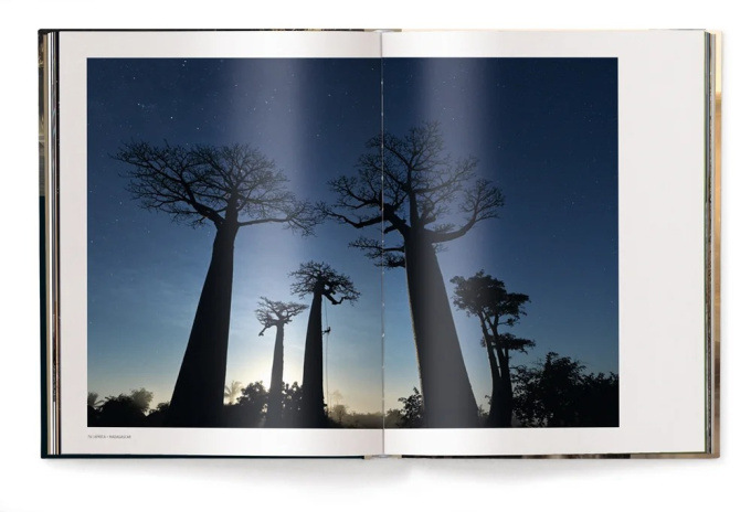 Mother: A Tribute to Mother Earth - Marsel van Oosten