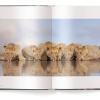 Mother: A Tribute to Mother Earth - Marsel van Oosten