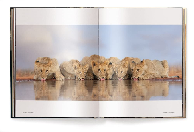 Mother: A Tribute to Mother Earth - Marsel van Oosten