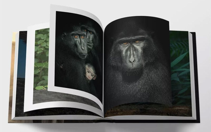 Mother: A Tribute to Mother Earth - Marsel van Oosten