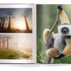 Mother: A Tribute to Mother Earth - Marsel van Oosten