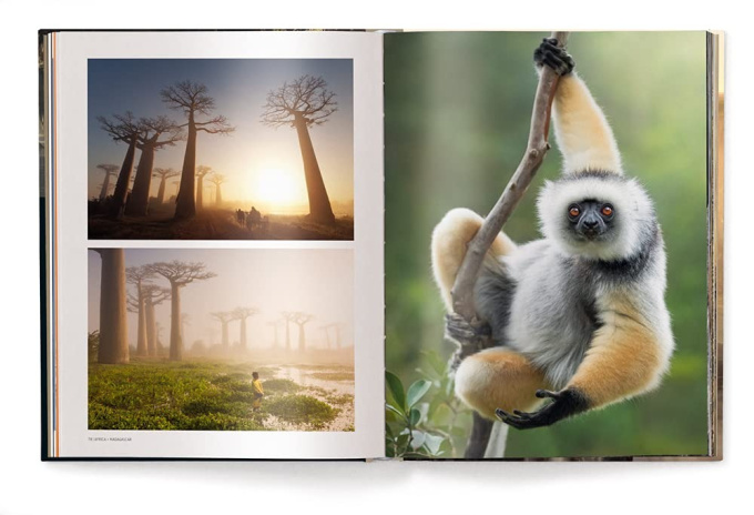 Mother: A Tribute to Mother Earth - Marsel van Oosten