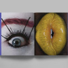 The New Stijl (Blue Cover)