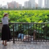Tokyo Unseen