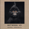 Vincent Lagrange: Between Us