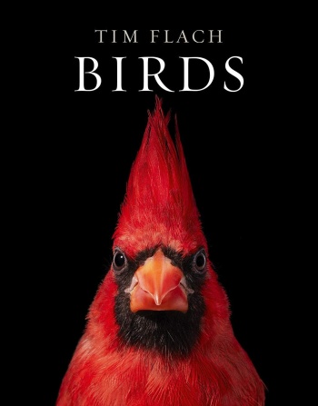 Birds by Tim Flach