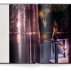 David Drebin: Flirting with Danger