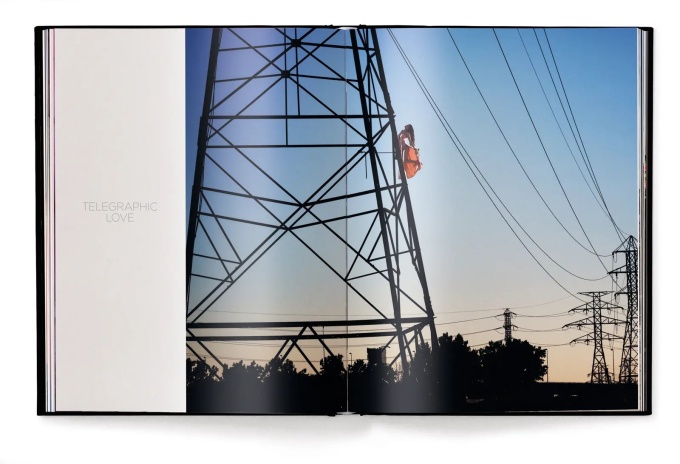 David Drebin: Flirting with Danger
