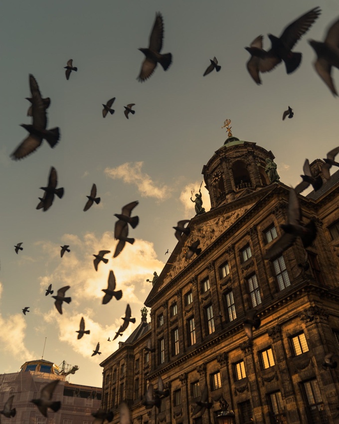 Gosse Bouma: A New Light on Amsterdam