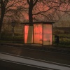 Gosse Bouma: A New Light on Amsterdam