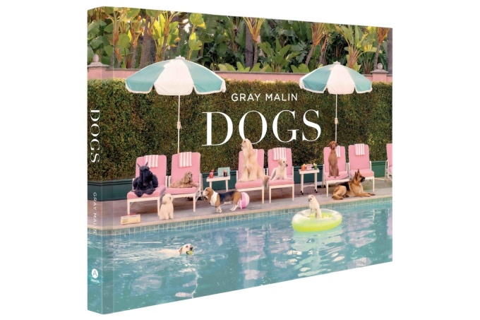 Gray Malin: Dogs