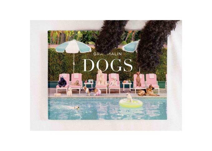 Gray Malin: Dogs
