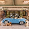 Gray Malin: Dogs