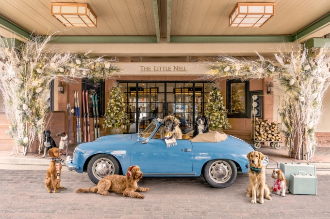 Gray Malin: Dogs