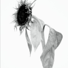 Willy Vanderperre: Prints, films, a rave and more...